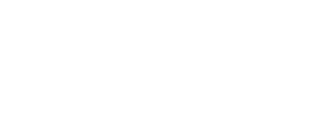 Mount Gower Guides